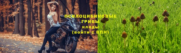 2c-b Балабаново