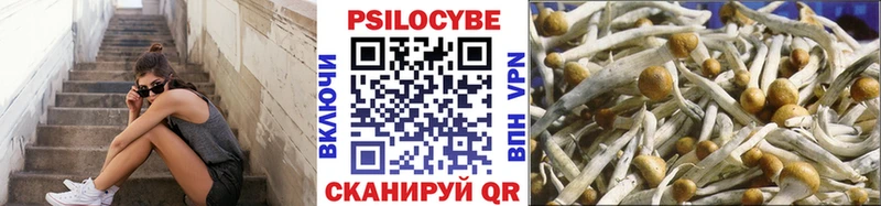 цена наркотик  Бикин  Галлюциногенные грибы прущие грибы 